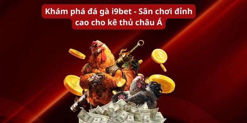 Khám phá đá gà I9BET  - Sân chơi đỉnh cao cho kê thủ châu Á