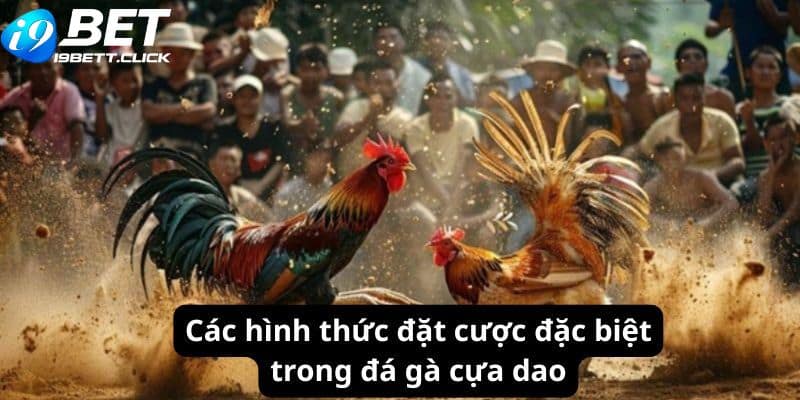 Các hình thức đặt cược đặc biệt trong đá gà cựa dao