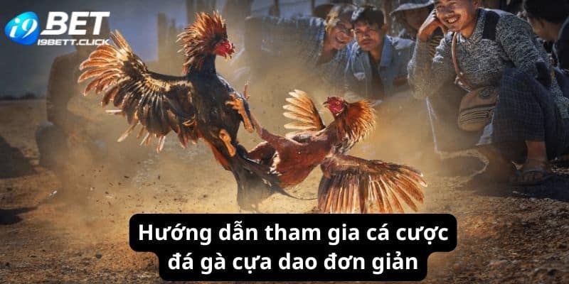 Hướng dẫn tham gia cá cược đá gà cựa dao đơn giản