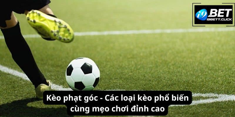 Kèo Phạt Góc - Các Loại Kèo Phổ Biến Cùng Mẹo Chơi Đỉnh Cao